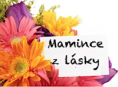 DEN MATEK – květiny pro maminku